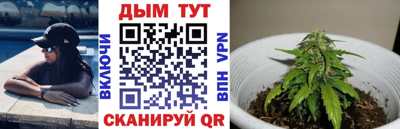 Купить где  Каргат  Канабис THC 21% 
